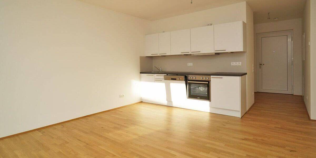 Etagenwohnung Dresden Johannstadt-Süd - 2 Zimmer, 50 m&sup2;, 770&euro; | Angebot:25970016