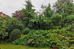gegenüber St. Bernward - neues Bad - Laminat - Keller - Garten