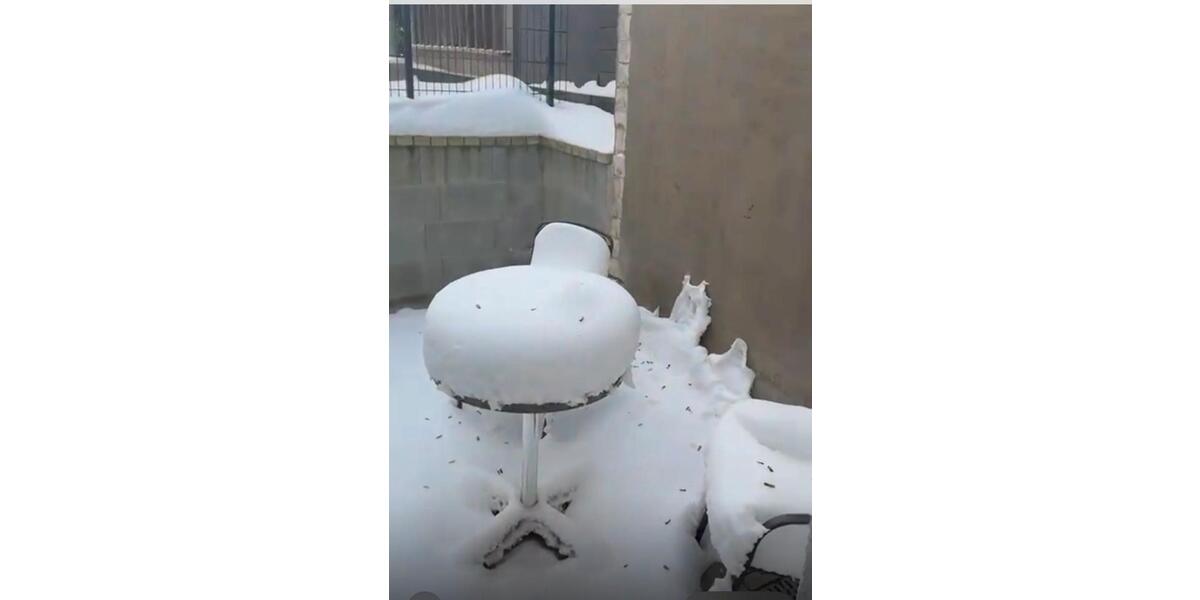 Wohnen auf Zeit Bremen Burglesum - 1 Zimmer, 26 m&sup2;, 1.050&euro; | Angebot:25978157