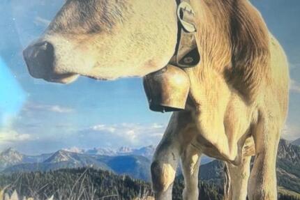 1 Zimmer Appartement in Obermaiselstein mit Pool wohnen auf Zeit 1 zimmer