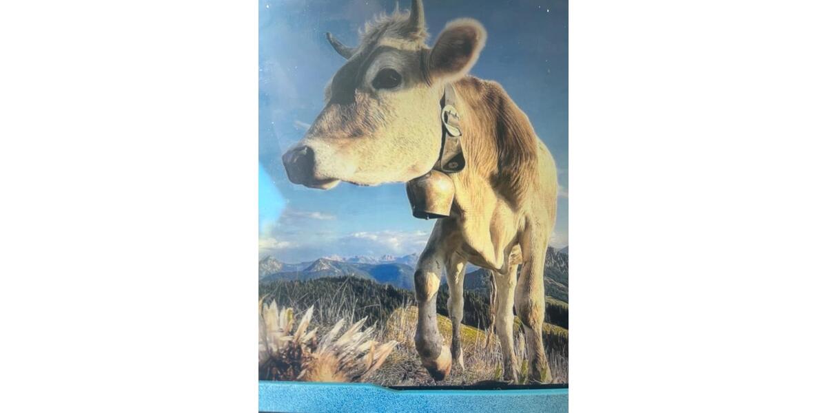 1 Zimmer Appartement in Obermaiselstein mit Pool wohnen auf Zeit 1 zimmer