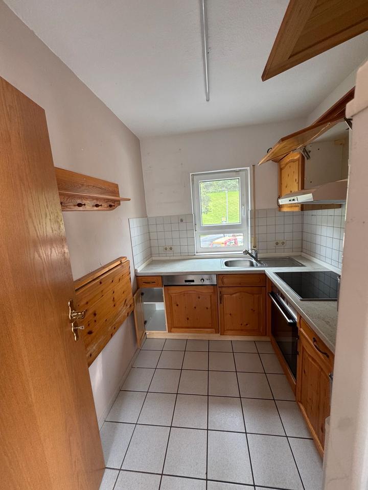 Wohnung im Grünen zu vermieten