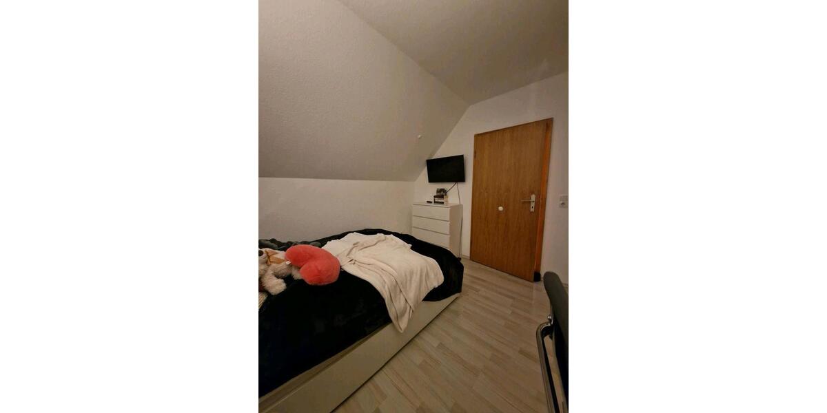 Dachgeschoßwohnung Oldenburg Alexandersfeld - 1 Zimmer, 95 m&sup2;, 480&euro; | Angebot:24973541