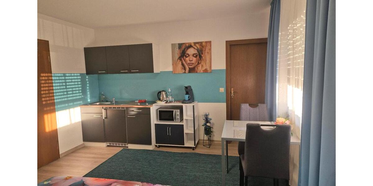 Wohnen auf Zeit Friesenheim - 1 Zimmer, 28 m&sup2;, 26&euro; | Angebot:24743827