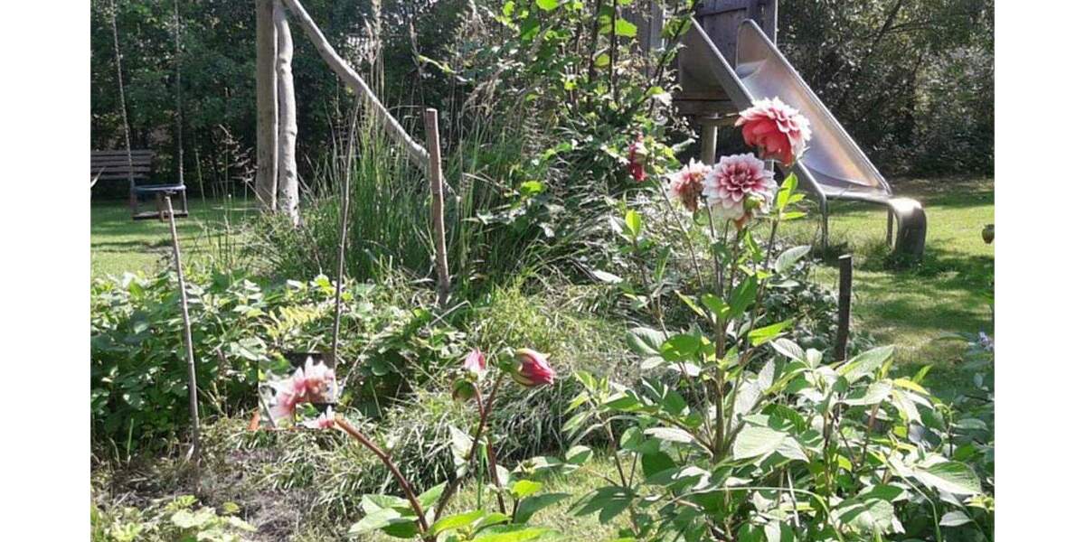 Einfamilienhaus Rechlin Boek - 1 Zimmer, 835 m&sup2;, 5.000&euro; | Angebot:24973926