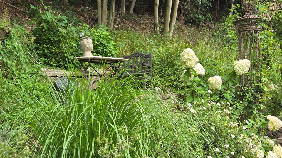 Auszeit für Aussteiger - Urlaub, Wohnen, Ruhe und Erholung, exklusive Ausstattung 3 zimmer