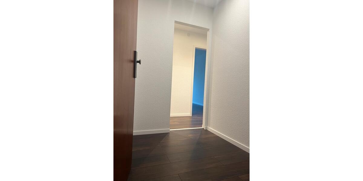 Frisch sanierte Wohnung in ruhiger Lage – ideal für Berufstätige 2 zimmer