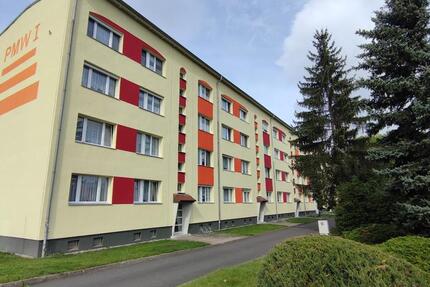 Wohnung Zwenkau - 2 Zimmer, 47 m&sup2;, 351&euro; | Angebot:24657697