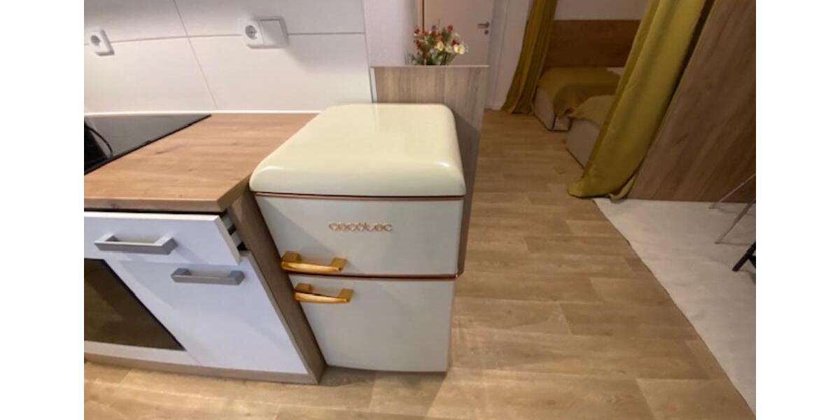 Wohnen auf Zeit Magdeburg Leipziger Straße - 1 Zimmer, 31 m&sup2;, 995&euro; | Angebot:25047982