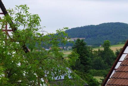 Wohnung Offenhausen - 1 Zimmer, 14 m&sup2;, 370&euro; | Angebot:25257476