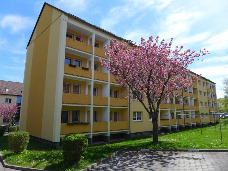 Dachgeschoßwohnung Limbach-Oberfrohna Oberfrohna - 3 Zimmer, 63 m&sup2;, 355&euro; | Angebot:24946775