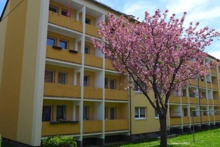 Wohnung Limbach-Oberfrohna Oberfrohna - 3 Zimmer, 63 m&sup2;, 355&euro; | Angebot:24946775