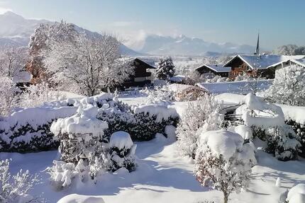 Hübsche ,helle Einliegerwohnung mit eigenem Garten 2.5 zimmer