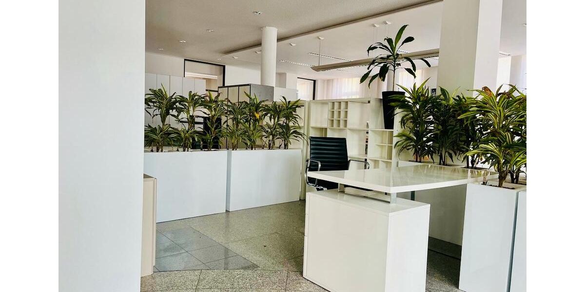 Büroarbeitsplatz in Bürogemeinschaft im Zentrum von Arnstadt zimmer