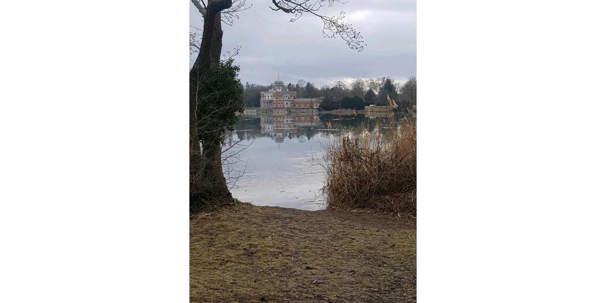 Erdgeschoßwohnung Potsdam Berliner Vorstadt - 2 Zimmer, 72 m&sup2;, 1.188&euro; | Angebot:25157313