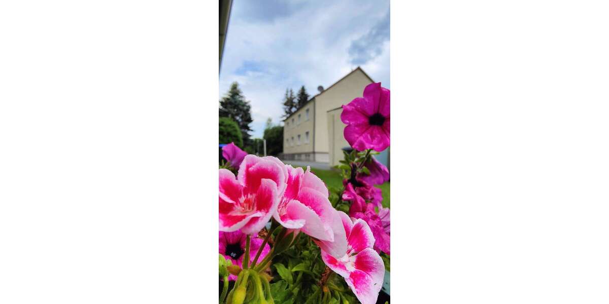 Etagenwohnung Löbau Kleinradmeritz - 3 Zimmer, 59 m&sup2;, 322&euro; | Angebot:26765423