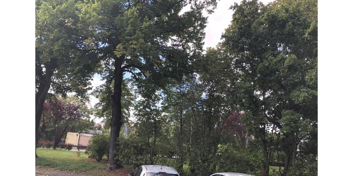 Erdgeschoßwohnung Döbeln - 2 Zimmer, 50 m&sup2;, 298&euro; | Angebot:23779158