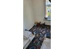 Etagenwohnung Peine - 3 Zimmer, 78 m&sup2;, 600&euro; | Angebot:26587368