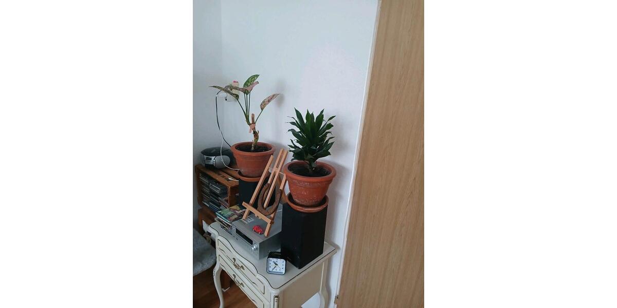 Etagenwohnung Adorf/Vogtland Vogtland - 2 Zimmer, 50 m&sup2;, 180&euro; | Angebot:26276540