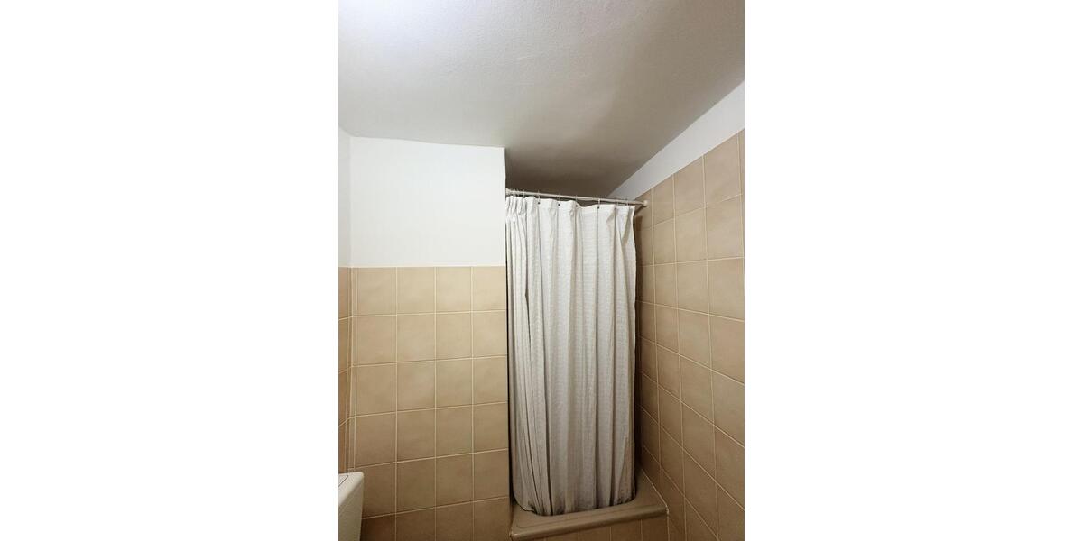 Dachgeschoßwohnung Tasdorf - 1.5 Zimmer, 28 m&sup2;, 300&euro; | Angebot:24455904