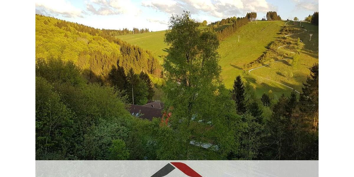Etagenwohnung Braunlage Sankt Andreasberg - 1 Zimmer, 50 m&sup2;, 300&euro; | Angebot:26349671