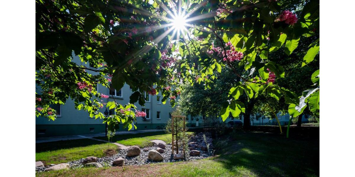 Erdgeschoßwohnung Halle (Saale) Damaschkestraße - 3 Zimmer, 66 m&sup2;, 531&euro; | Angebot:26676509