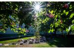 Erdgeschoßwohnung Halle (Saale) Damaschkestraße - 3 Zimmer, 66 m&sup2;, 531&euro; | Angebot:26676509
