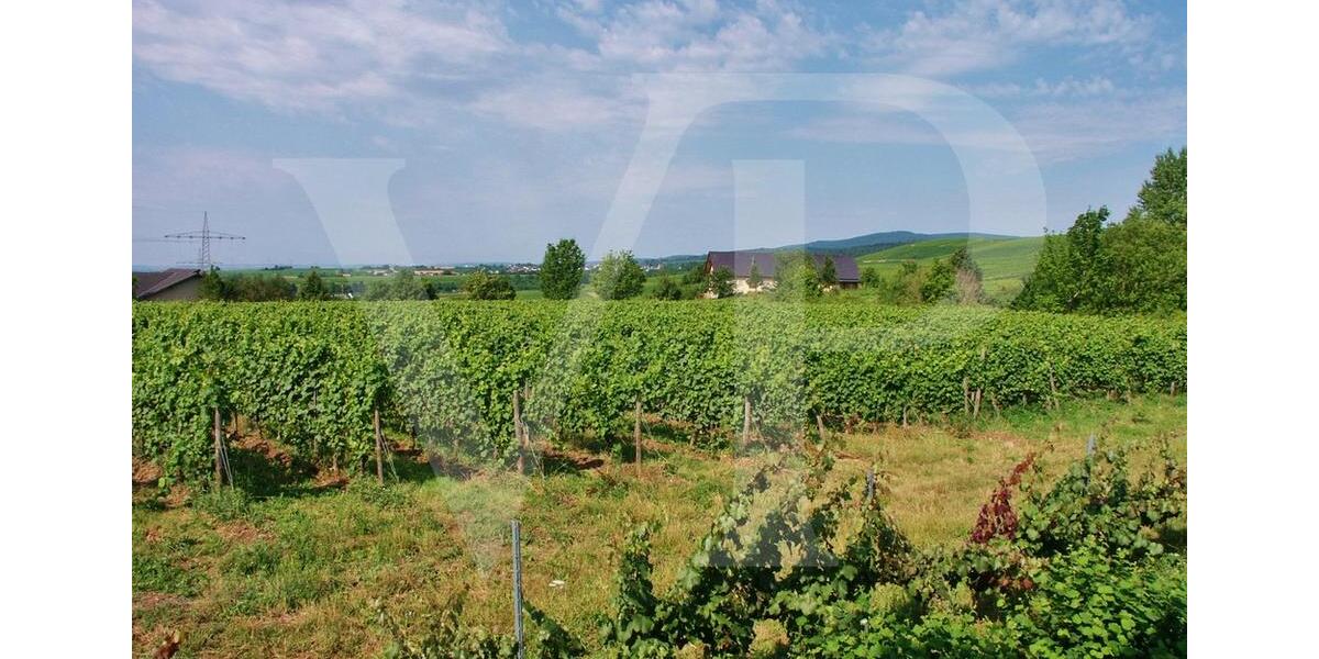 Gewerbeobjekt Eltville am Rhein Martinsthal - 2.130&euro; | Angebot:25444146