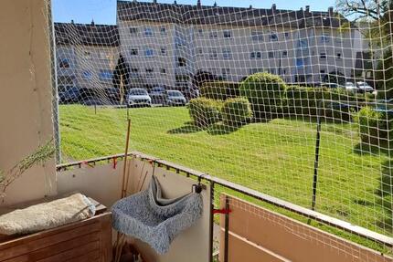 Wohnung Sulzbach (Taunus) - 2 Zimmer, 51 m&sup2;, 710&euro; | Angebot:26480295