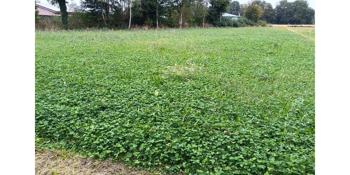 Erdgeschoßwohnung Bothel - 3 Zimmer, 75 m&sup2;, 750&euro; | Angebot:25944731