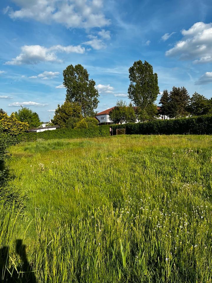 Mietfläche 960qm Gartenland Bauland in Bischofswerda
