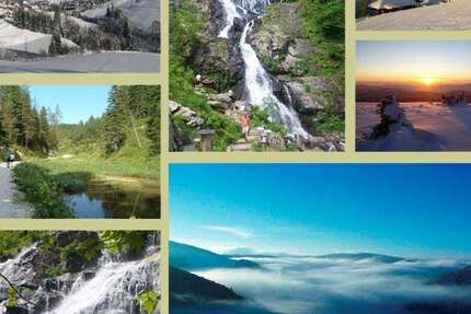 Wohnung Todtnauberg Todtnauberg - 2 Zimmer, 65 m&sup2;, 600&euro; | Angebot:23118396