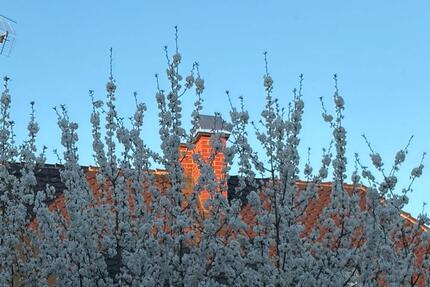 Wohnen auf Zeit Augsburg Bergheim - 1 Zimmer, 18 m&sup2;, 345&euro; | Angebot:26275075