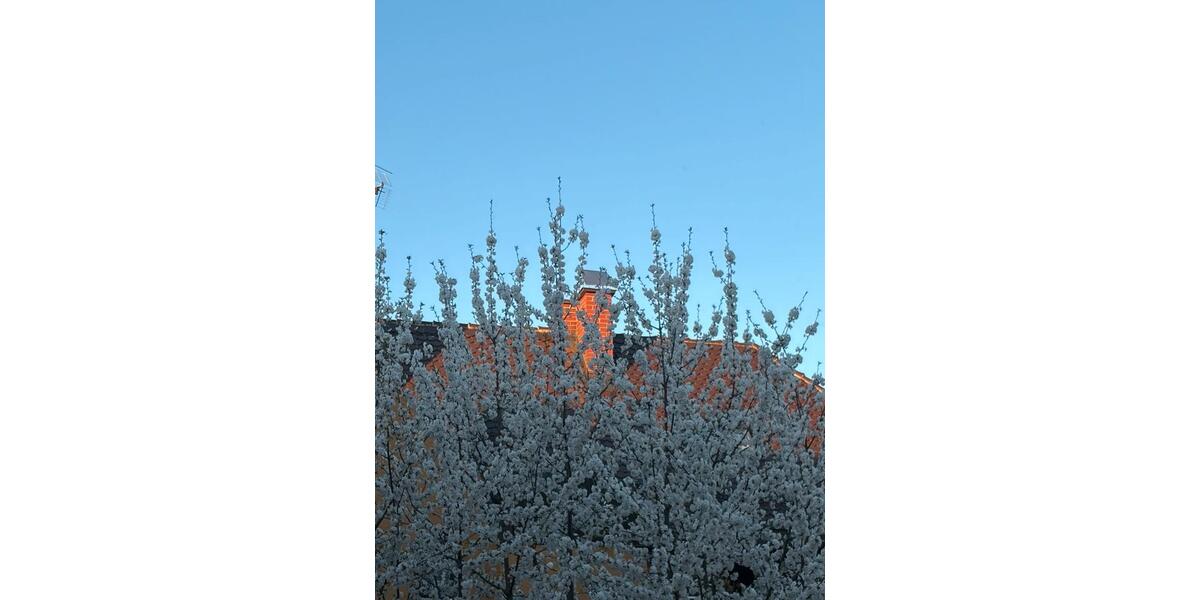 Wohnen auf Zeit Augsburg Bergheim - 1 Zimmer, 18 m&sup2;, 345&euro; | Angebot:26275075