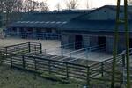 Gewerbeobjekt Drochtersen - 2.500&euro; | Angebot:26494489
