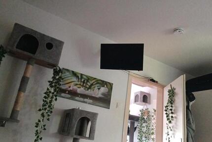 Wohnung Teilmöbeliert Nachmieter zimmer