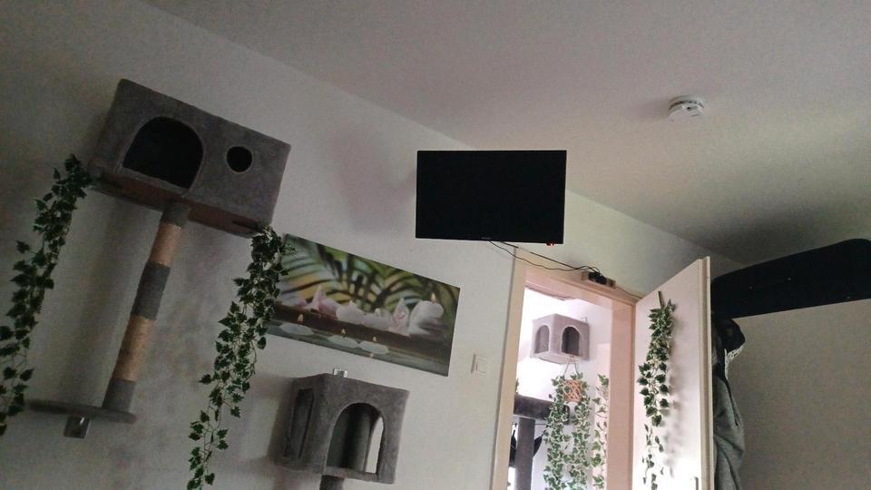 Wohnung Teilmöbeliert Nachmieter zimmer