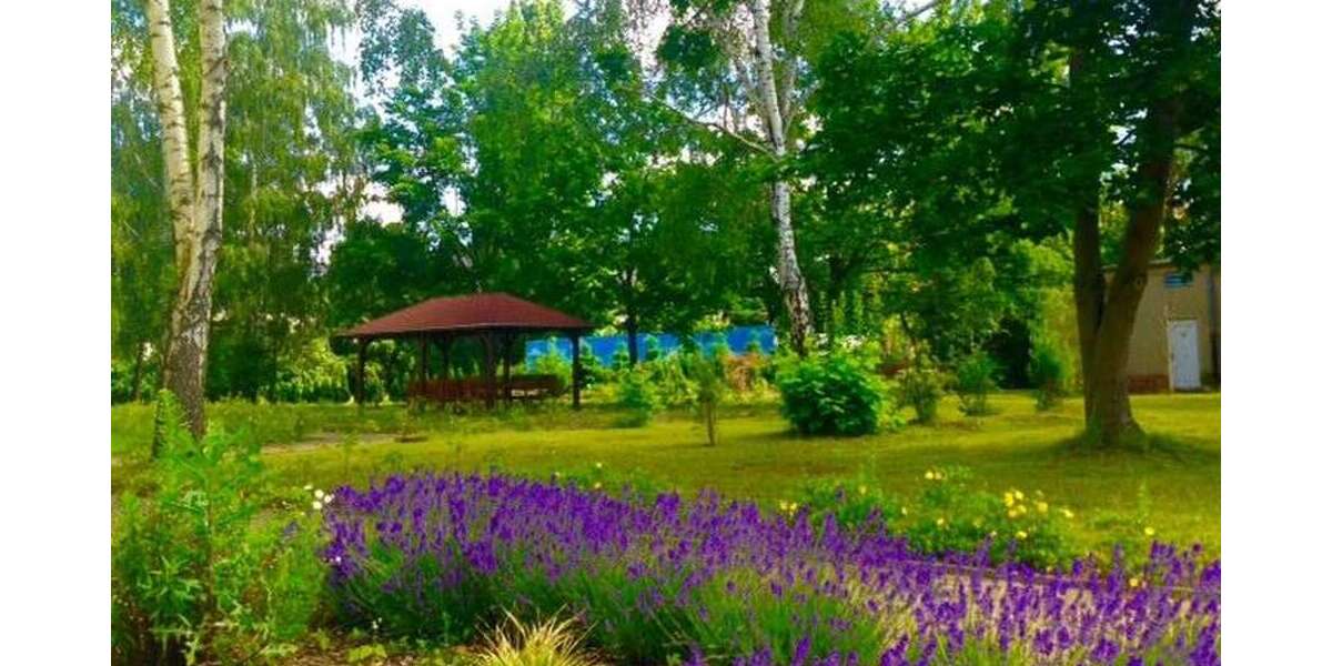 Etagenwohnung Eilenburg Eilenburg-Ost - 1 Zimmer, 23 m&sup2;, 330&euro; | Angebot:26047957