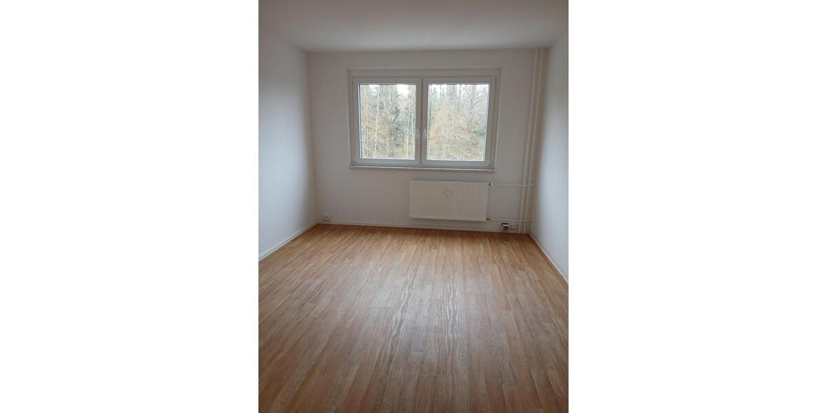 Etagenwohnung Ellefeld - 4 Zimmer, 93 m&sup2;, 435&euro; | Angebot:26368537