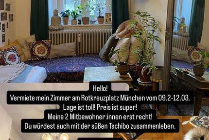 Zimmer zur Zwischenmiete 3 zimmer