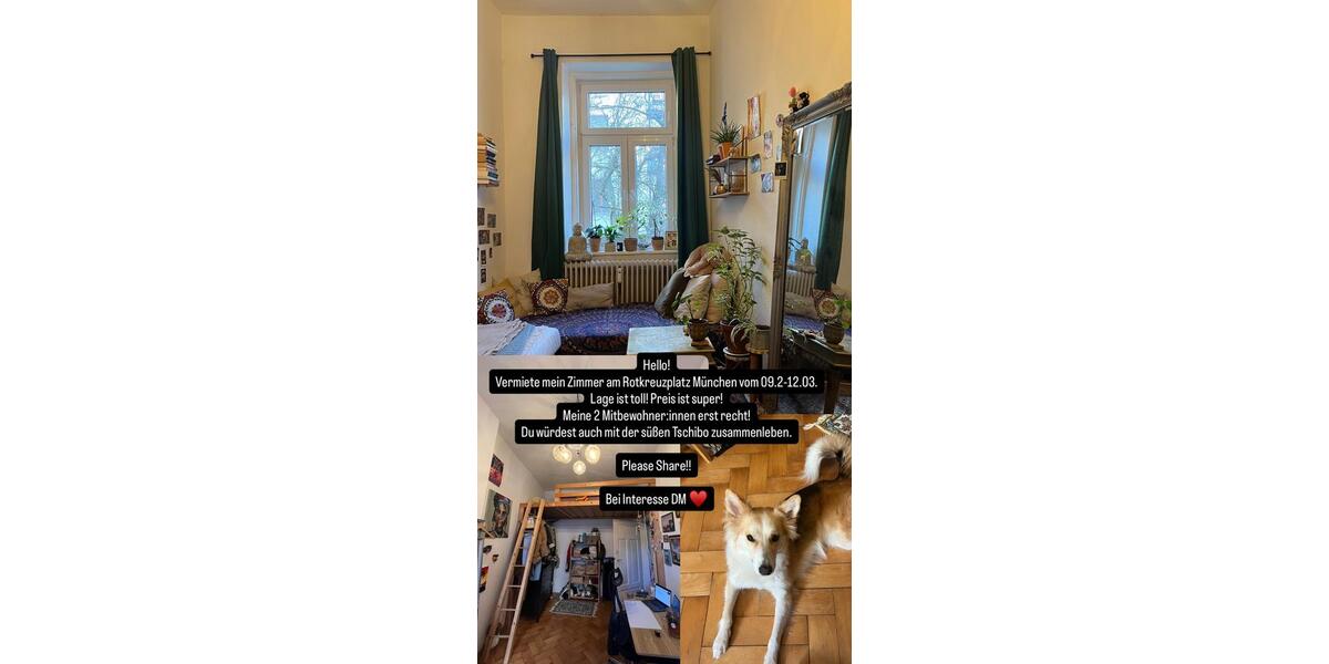 Zimmer zur Zwischenmiete 3 zimmer