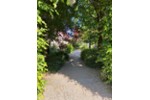 Einfamilienhaus Schlüchtern - 3 Zimmer, 150 m&sup2;, 1.350&euro; | Angebot:25964514