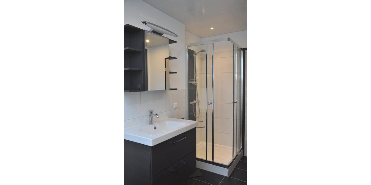 Dachgeschoßwohnung Bad Rappenau - 2 Zimmer, 55 m&sup2;, 1.150&euro; | Angebot:26130358