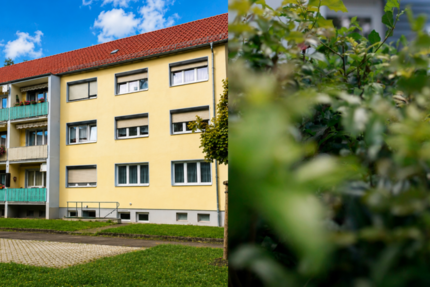 Wohnung Hohenmölsen Jaucha - 3 Zimmer, 58 m&sup2;, 400&euro; | Angebot:26564395