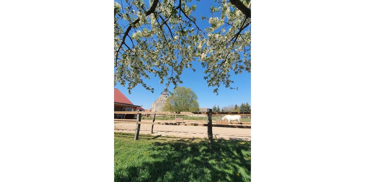 Dachgeschoßwohnung Ziesar - 2 Zimmer, 61 m&sup2;, 380&euro; | Angebot:24744105