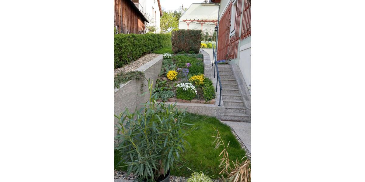 Etagenwohnung Meißen - 1 Zimmer, 55 m&sup2;, 329&euro; | Angebot:25751818