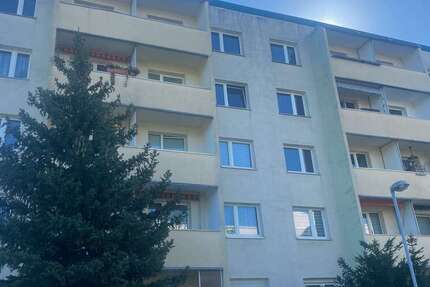 Wohnung zum Mieten in HalleSaale 345 € 55.8 m²