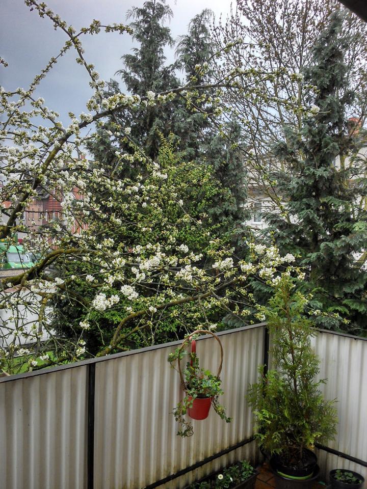 gemütliche 2 Zimmer Wohnung mit Balkon
