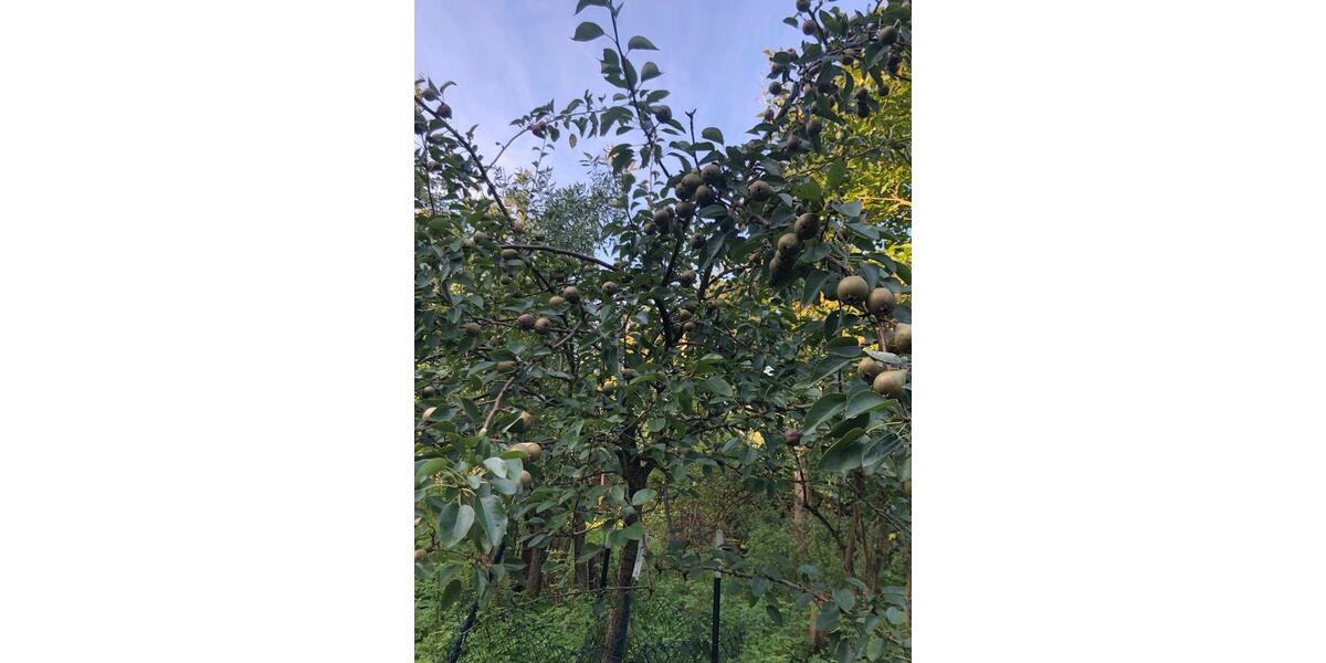 WG-Zimmer - Landleben 2 zimmer