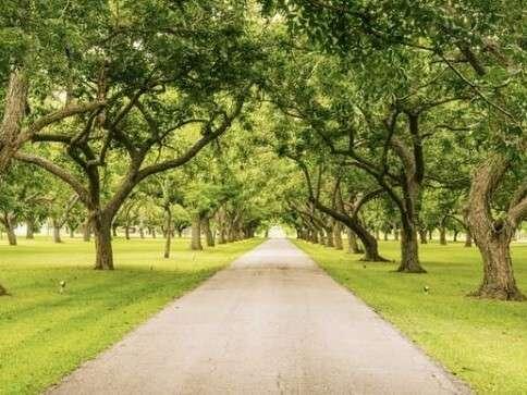 Erdgeschoßwohnung Leipzig Nordost - 4 Zimmer, 160 m&sup2;, 3.200&euro; | Angebot:25217580